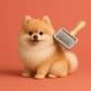 Pomeranian Grooming icon